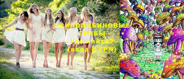 не бодяженный Ельня