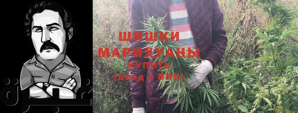 не бодяженный Ельня