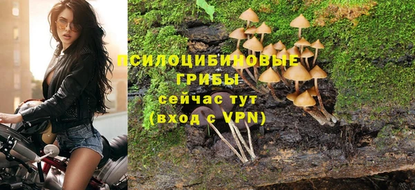 apvp Елизово