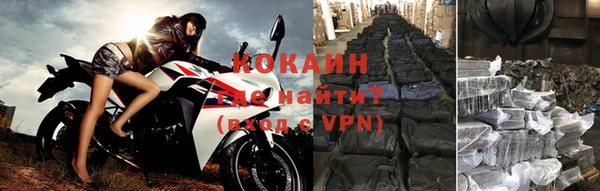 ПСИЛОЦИБИНОВЫЕ ГРИБЫ Коряжма