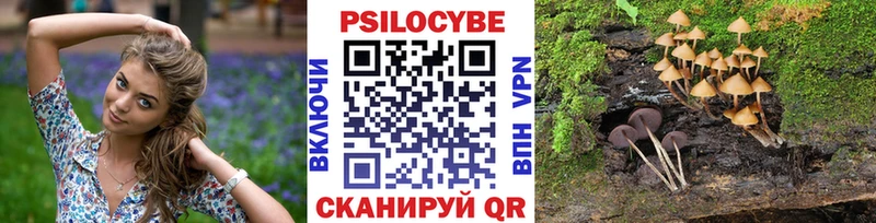 Псилоцибиновые грибы GOLDEN TEACHER  Камешково 